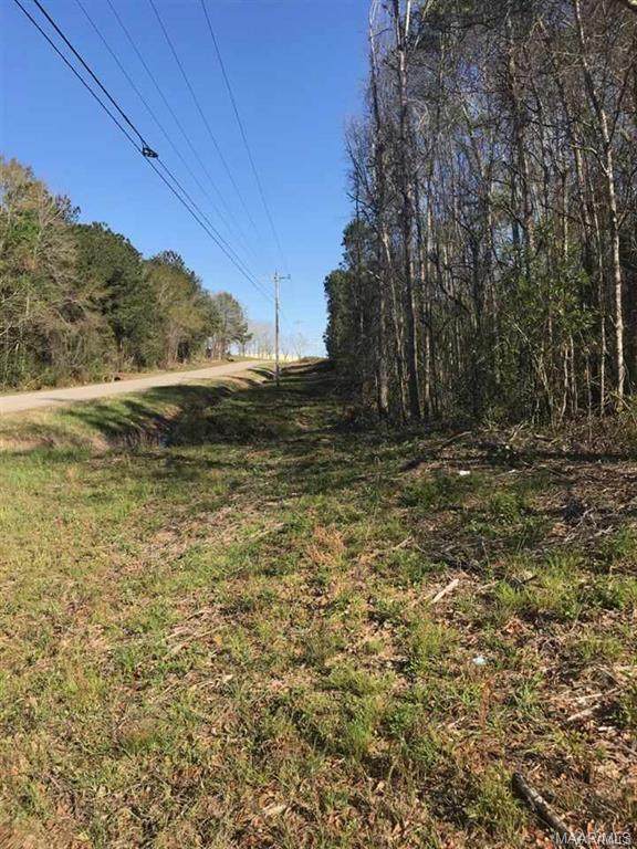 321 Acres County Road 622 Road - Photo 1