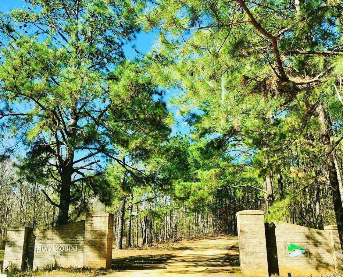 Lot 133 Red Eagle Drive - Photo 1