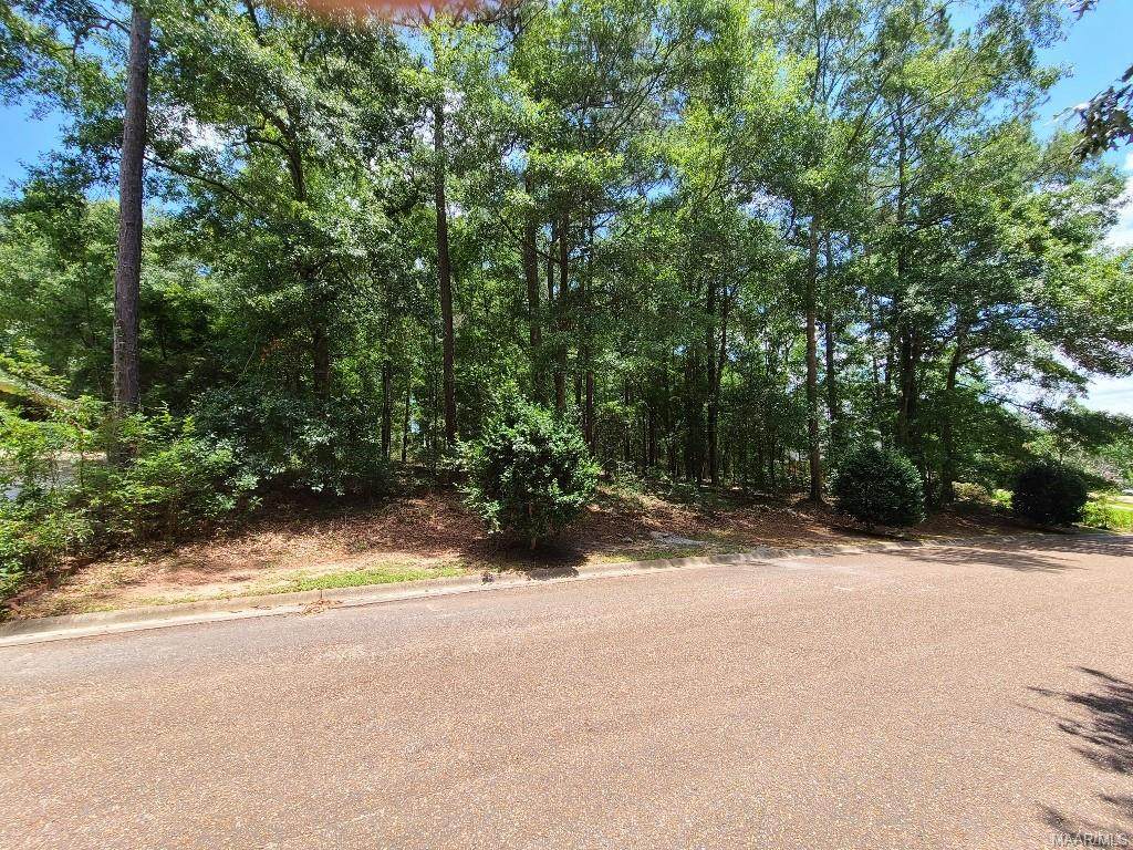 TBD Lake Oak Ridge Drive - Photo 1