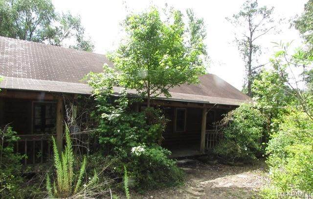 6682 Deatsville Highway - Photo 1