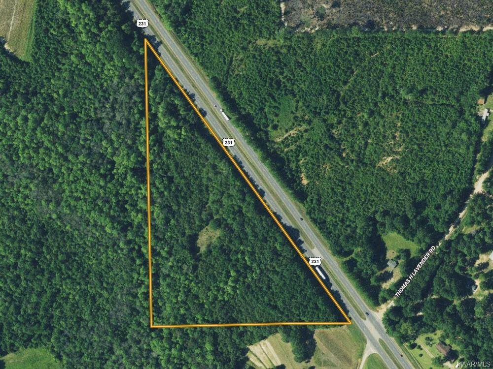 00 Highway 231 - Photo 1