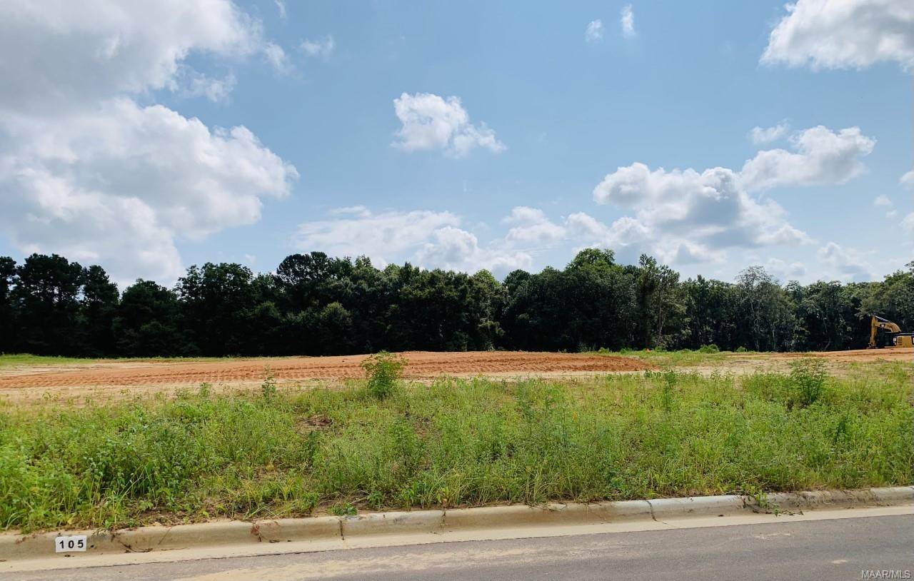 105 Hand Lane - Photo 1