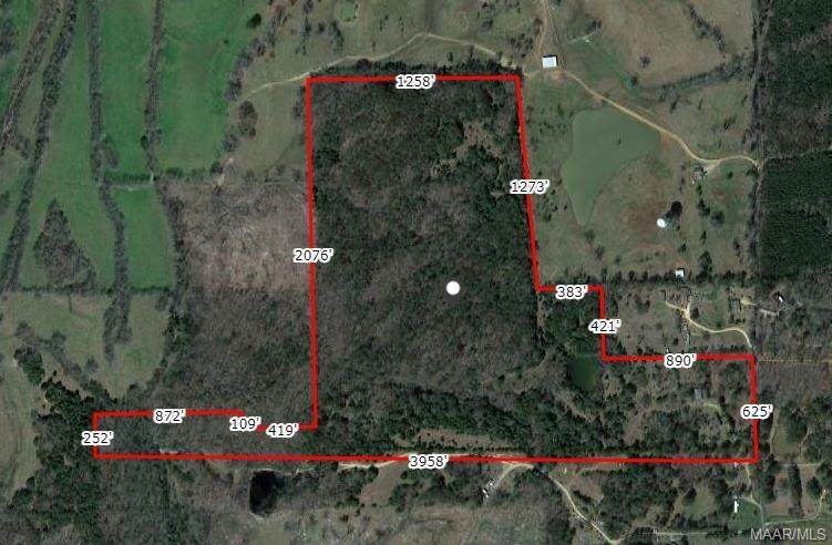 419 Davis Spur - Photo 1