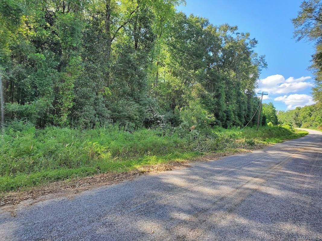 TBD County Road 11 - Photo 1