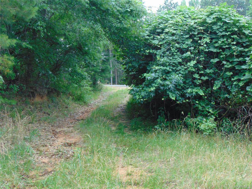 2 Jasmine Hill Road - Photo 1