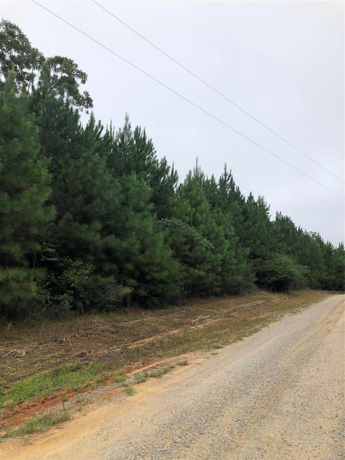 00 County Road 354 - Photo 1