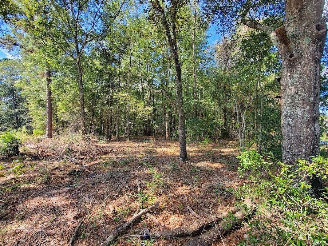 Lot's 25 & 26 Oak Hill Drive - Photo 1