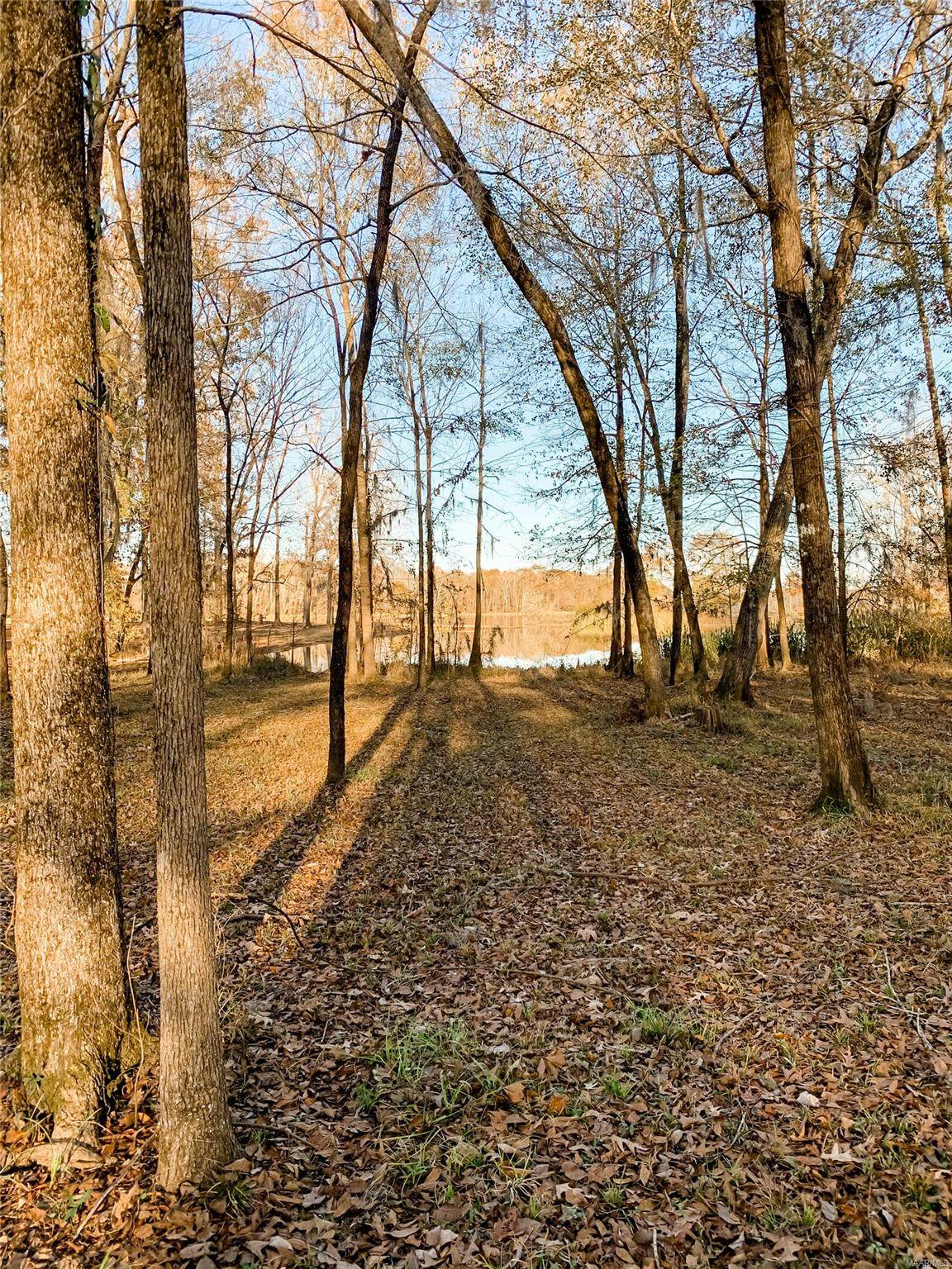 Lot 10 Shadow Creek Loop - Photo 1