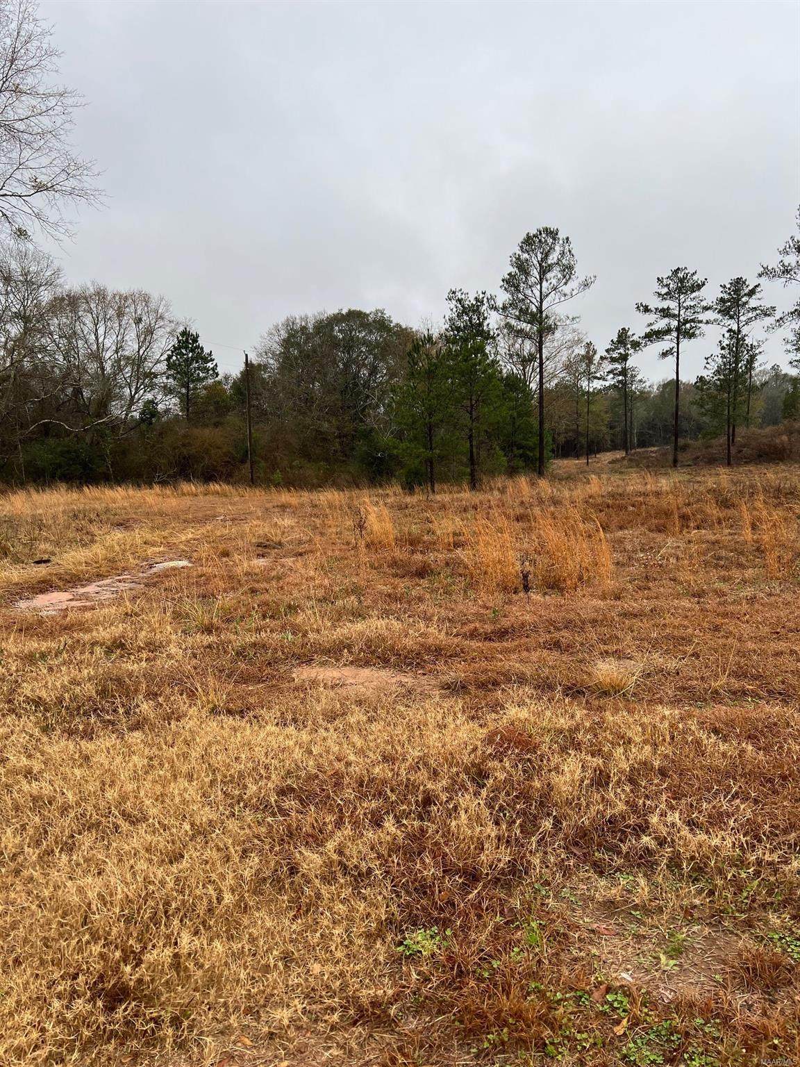 Lot 6 County Road 507 - Photo 1
