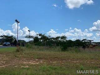 6008,10,12,14,16,18 Boll Weevil Circle - Photo 1