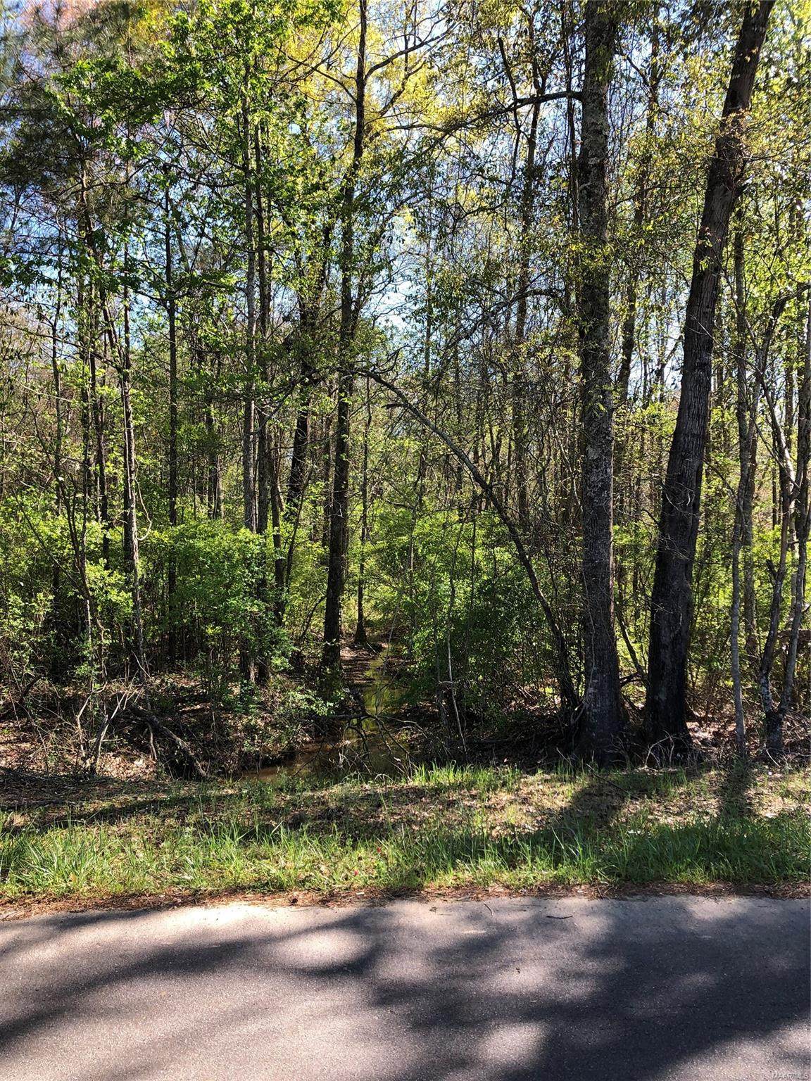 0 Upper Gibson Town Road - Photo 1