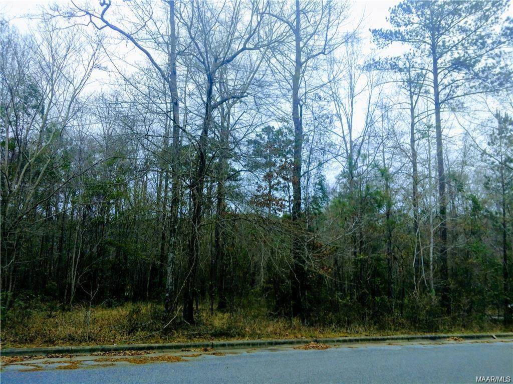 0 Woodland Heights Drive - Photo 1