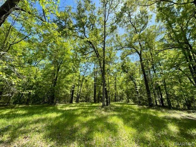 800 Clayton Highway - Photo 1