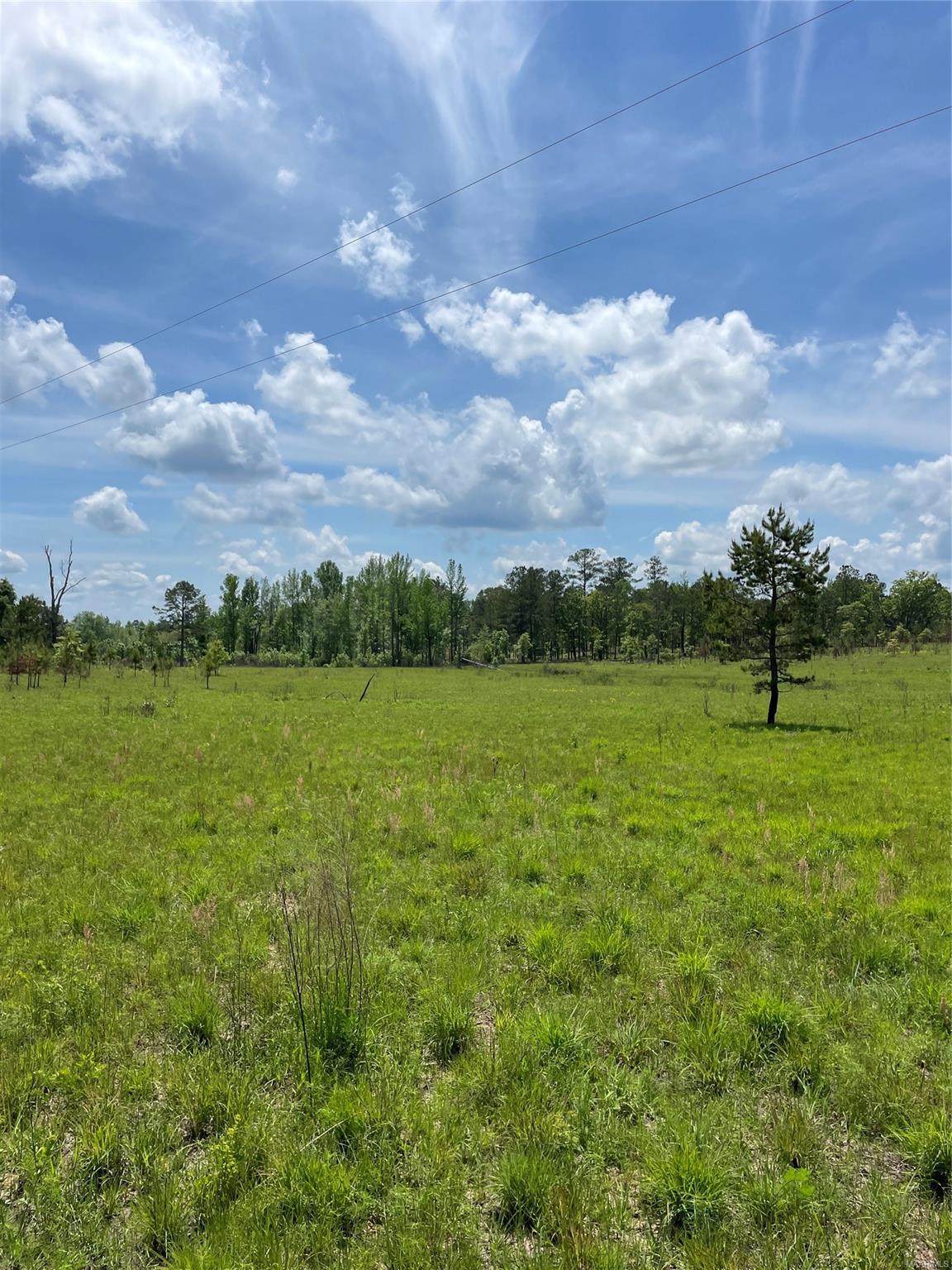 2699 Brooks Road - Photo 1