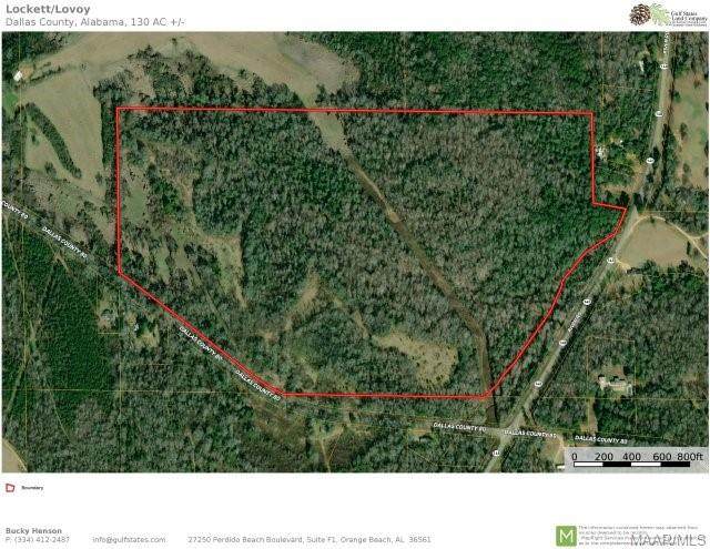1737 County Road 80 - Photo 1