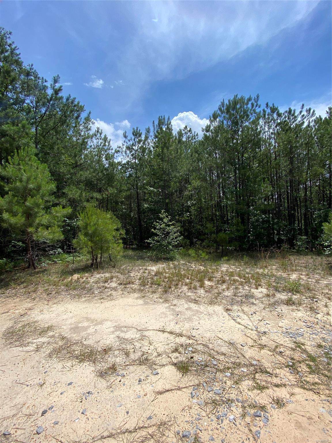 0 Hwy 143 - Photo 1