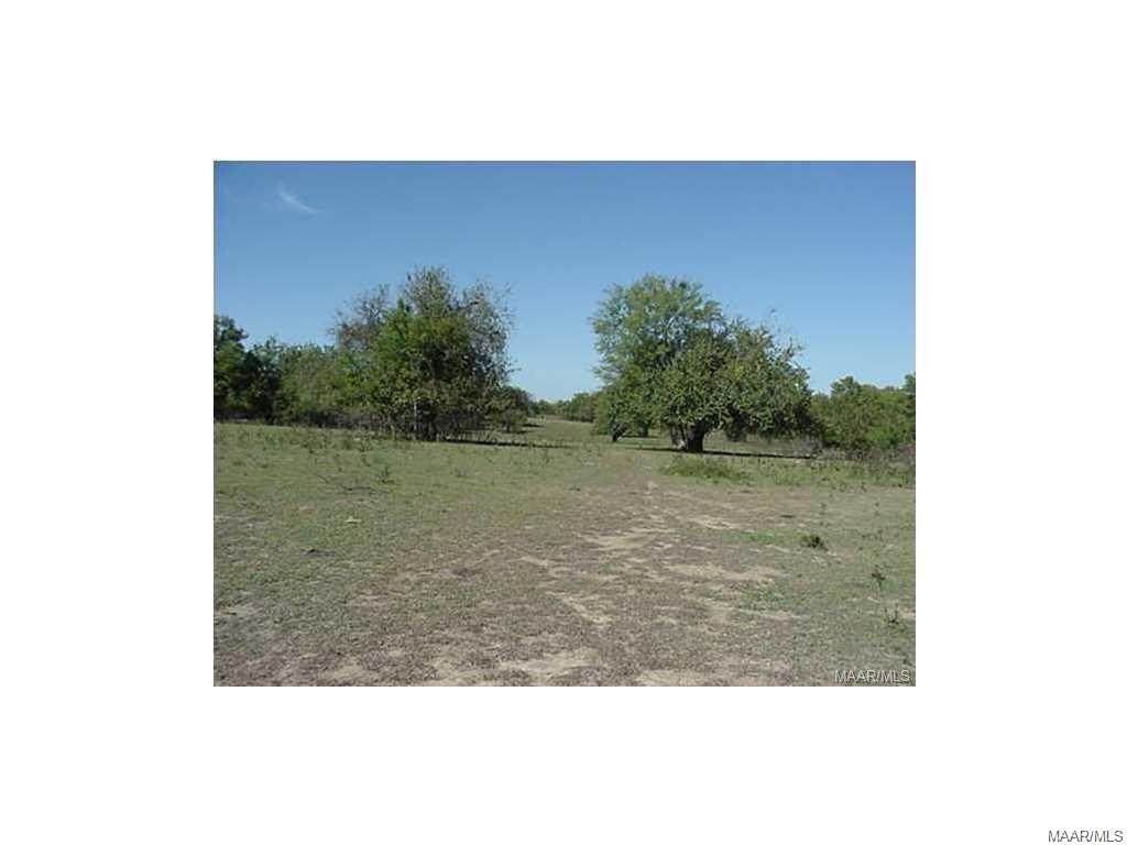 0 Mingo Bracey Road - Photo 1