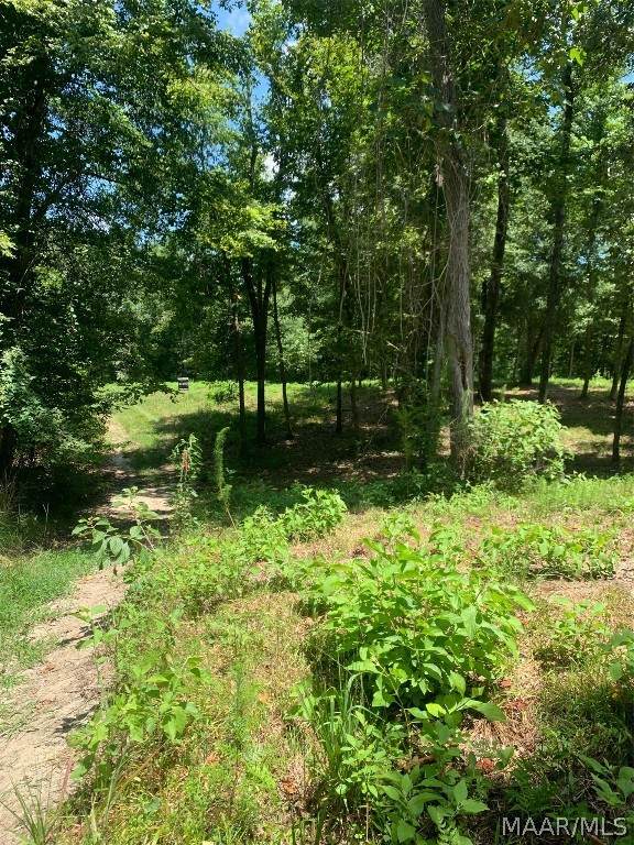 144 Wilderness Way - Photo 1