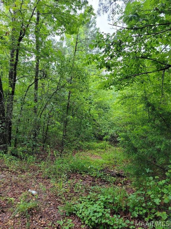 0 County Road 122 Road - Photo 1