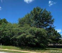 4655 Turfway Park - Photo 1