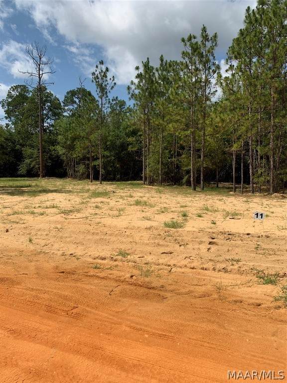 Lot 11 Deer Loop - Photo 1