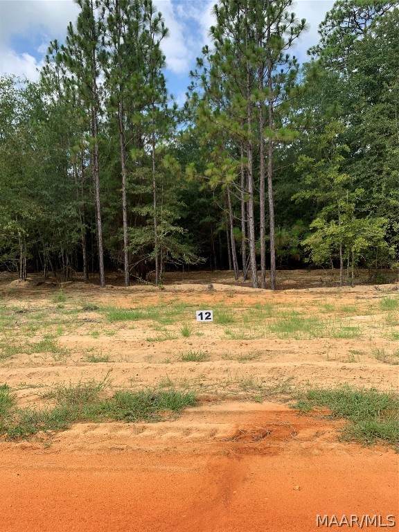 Lot 12 Deer Loop - Photo 1