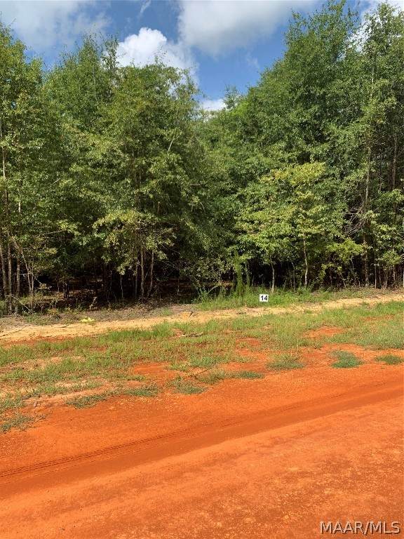 Lot 14 Deer Loop - Photo 1