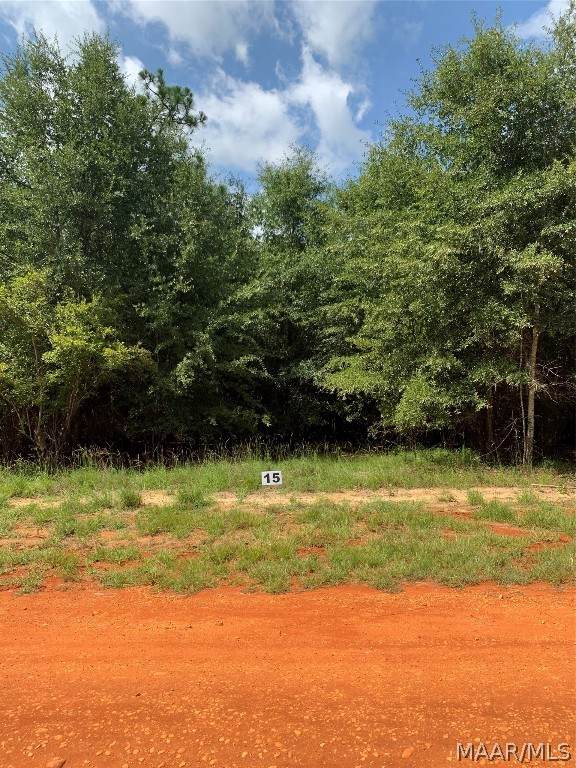 Lot 15 Deer Loop - Photo 1
