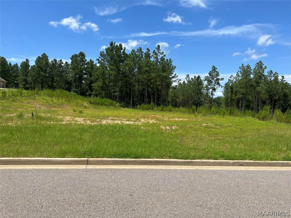 1172 Brookwood Drive - Photo 1
