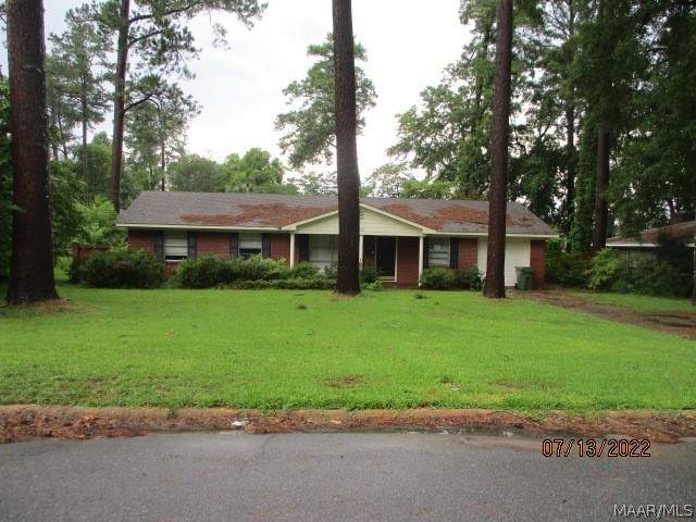 3807 Marie Cook Drive - Photo 1