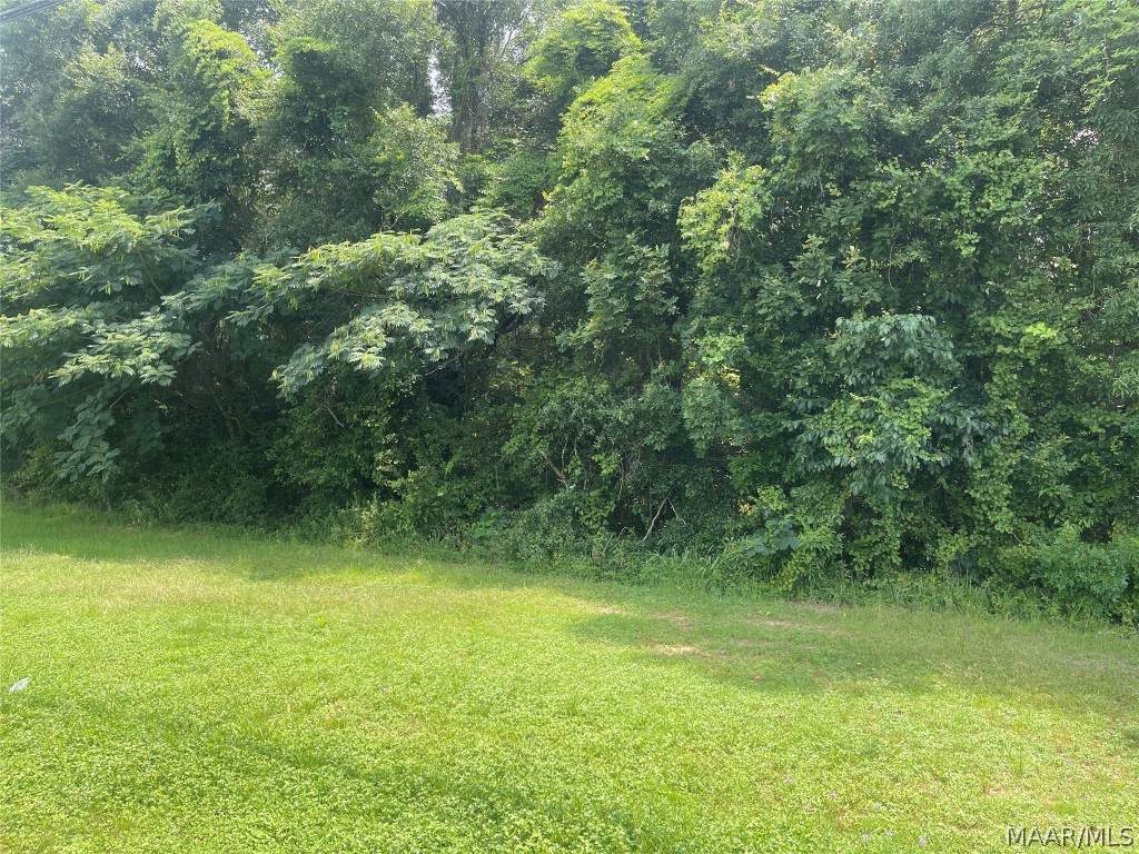 00 Highway 231 - Photo 1