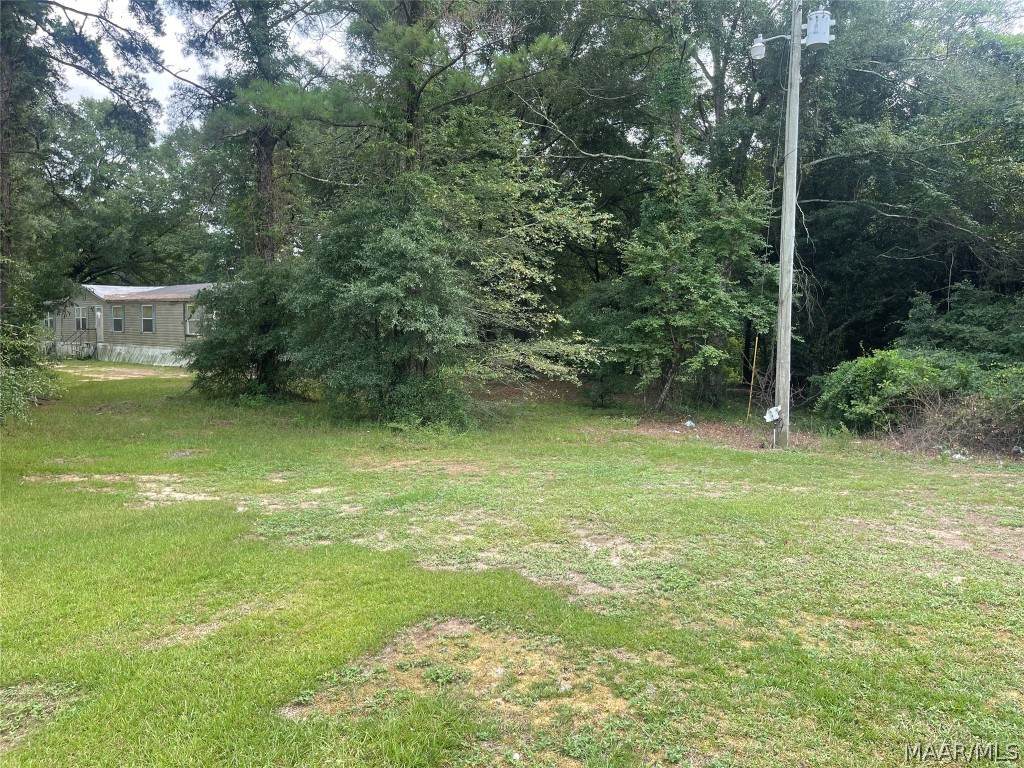 12975 Highway 231 - Photo 1