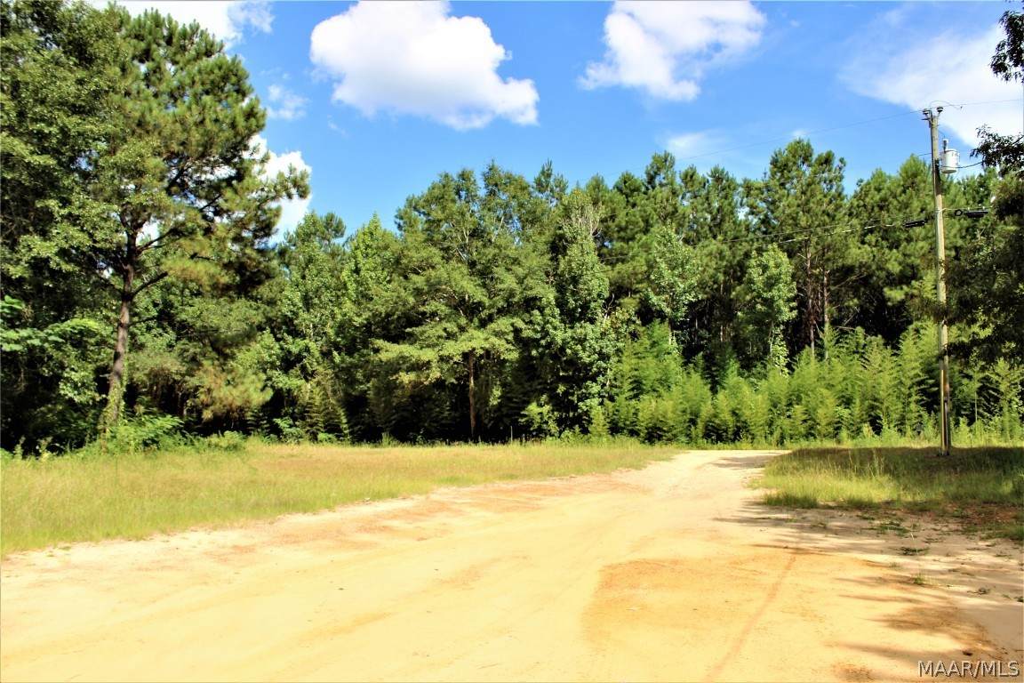 667 County Road 2271 - Photo 1