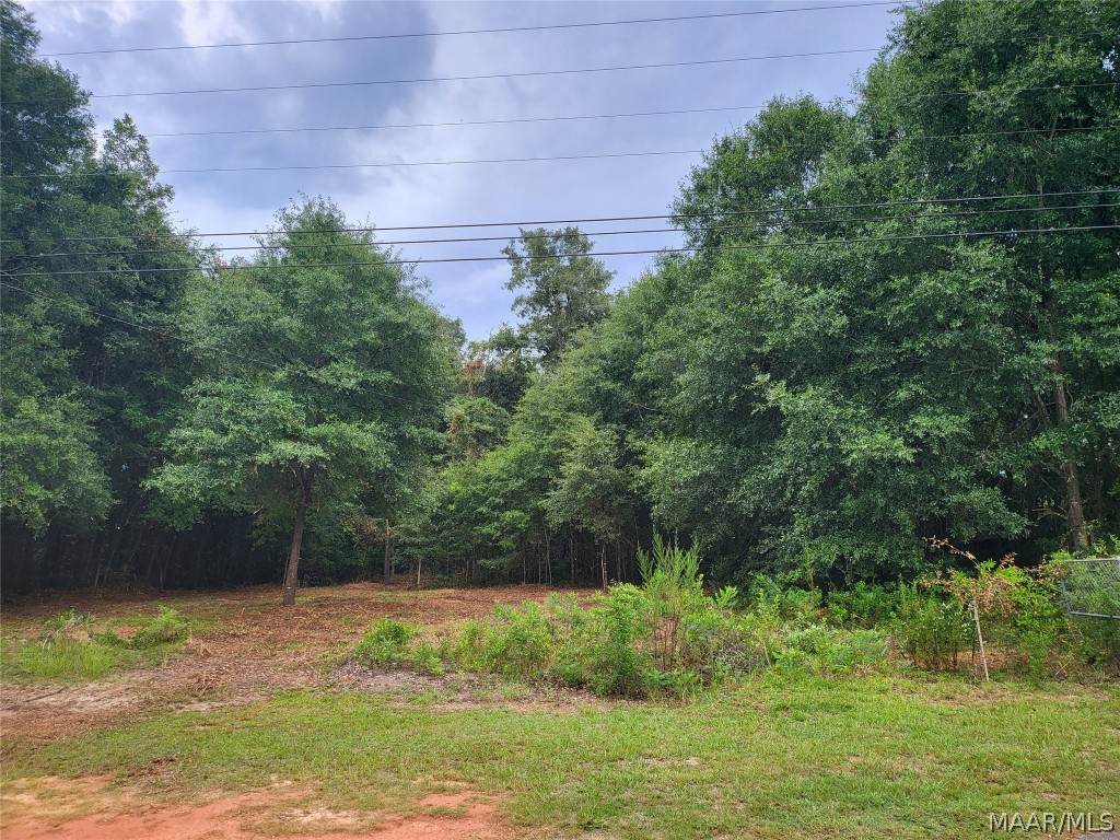 5 acres Phyllis Avenue - Photo 1