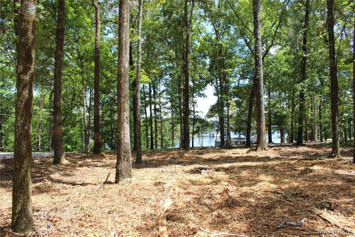 0 Driftwood Road - Photo 1