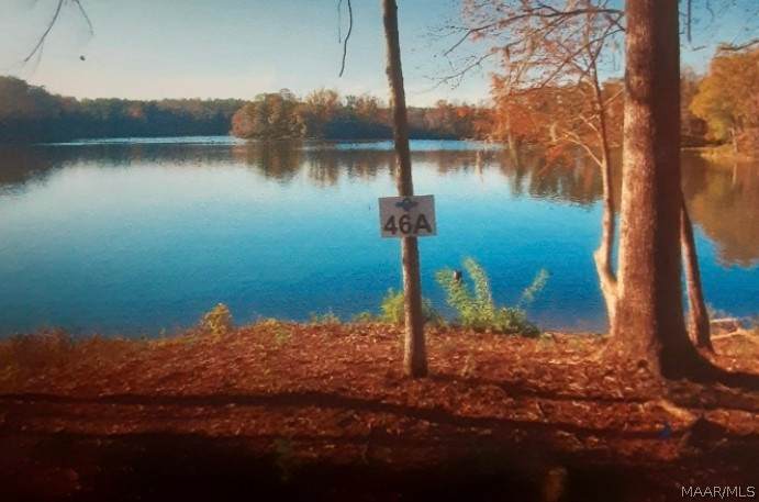 Lot 46/46A Legacy Shores - Photo 1