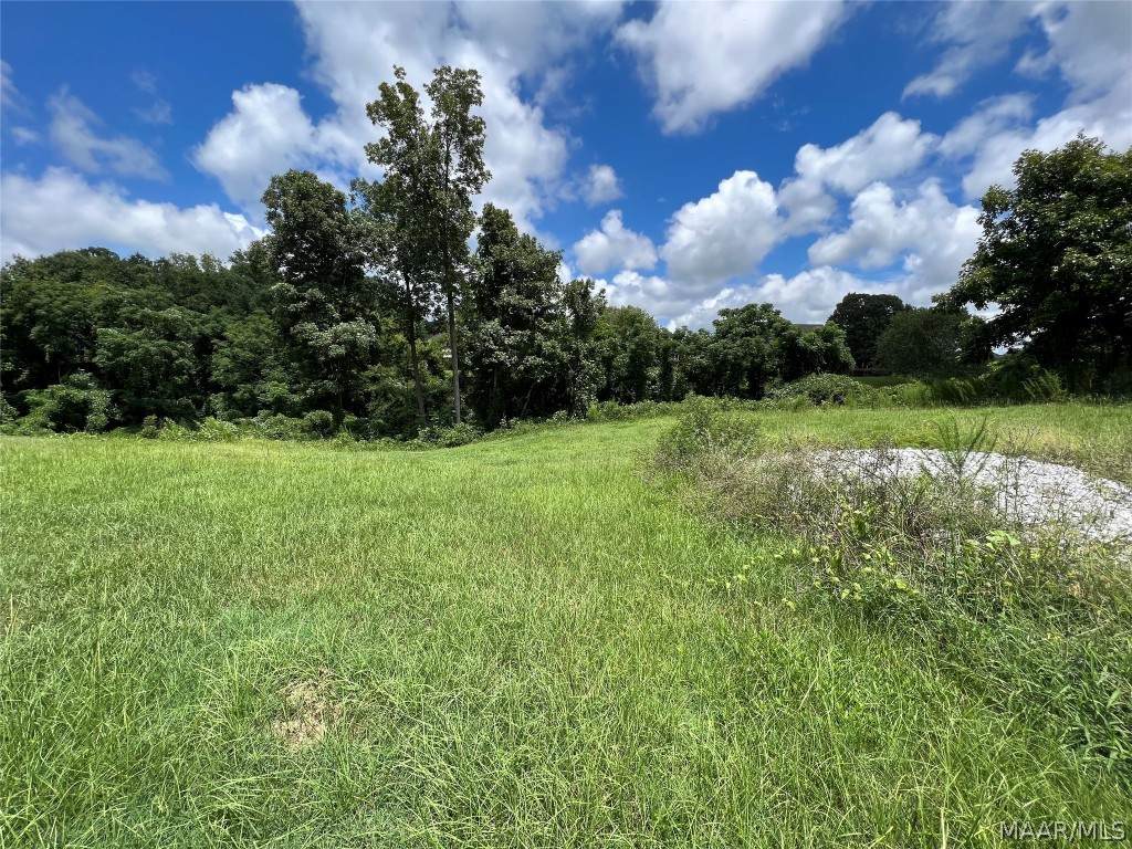 526 Mossy Oak Ridge - Photo 1