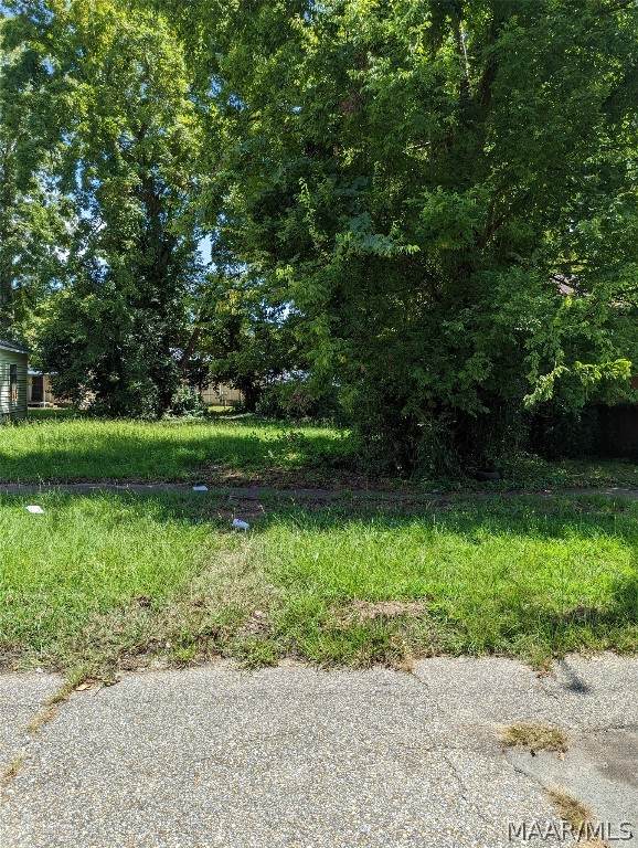 1808 Alabama Avenue - Photo 1