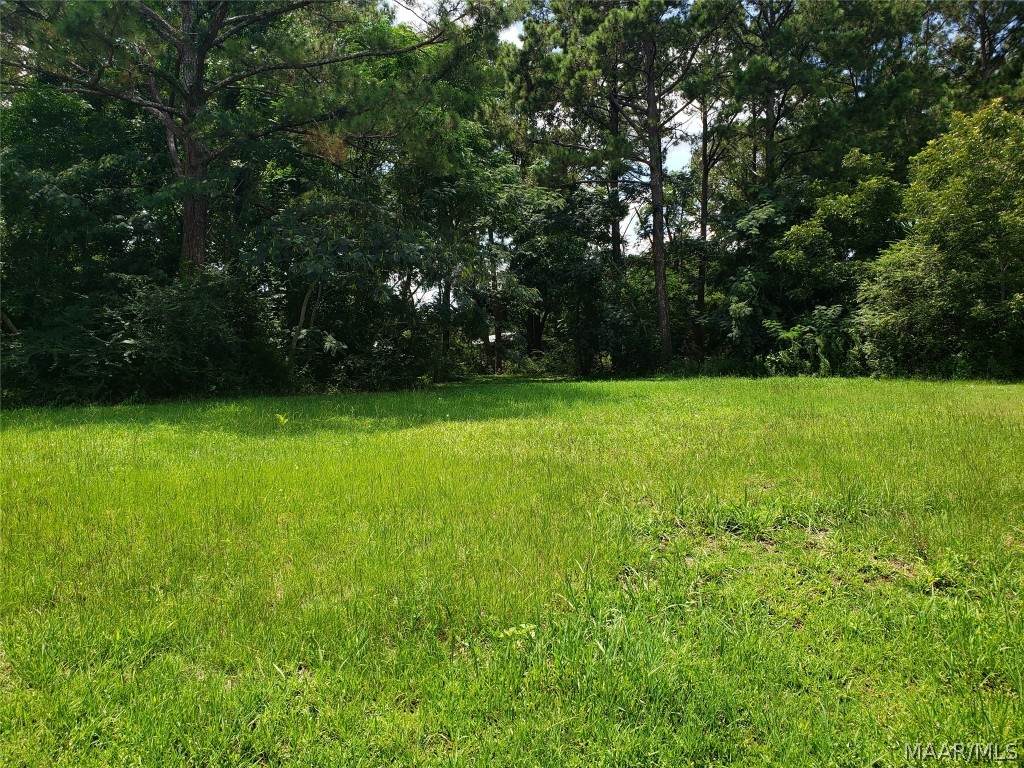 45 Savannah Court - Photo 1