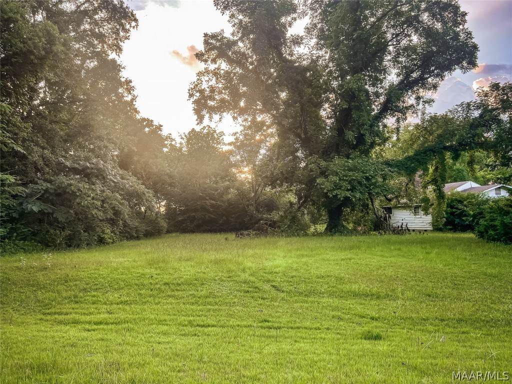 3547 County Road 81 - Photo 1