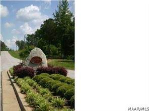 53 Foxfire Lane - Photo 1