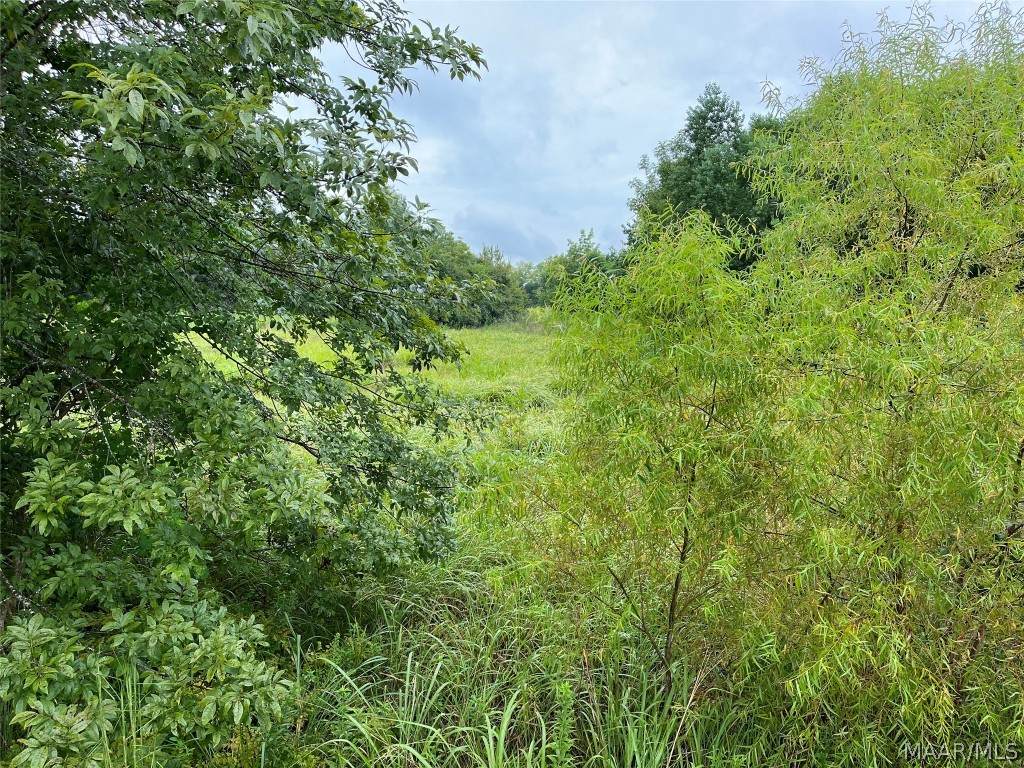 3658 Bell Road - Photo 1