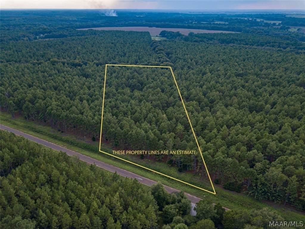 4.91+/- "LOT 3" County Road 79 - Photo 1