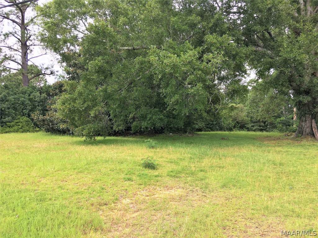 3611 Harrison Road - Photo 1