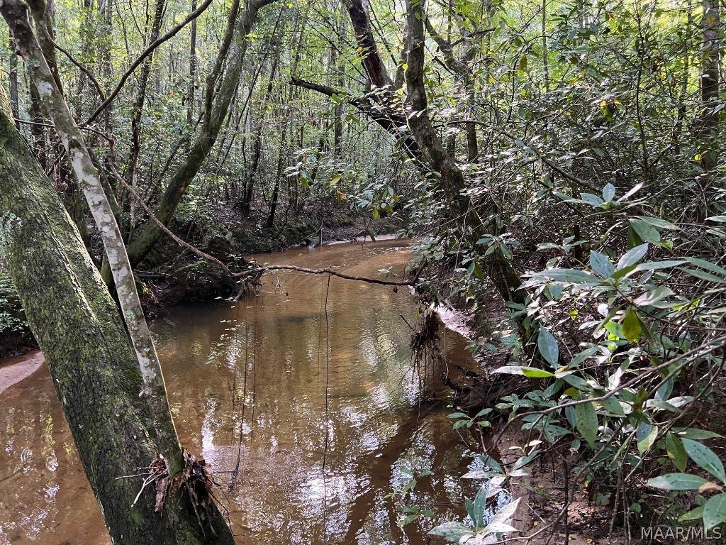 2710 County Road 131 Road - Photo 1