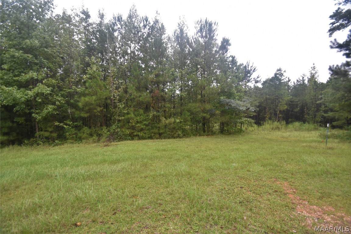 1 Mixon School Road - Photo 1