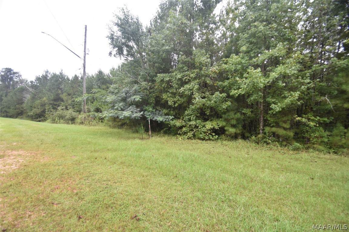 6 Mixon School Road - Photo 1