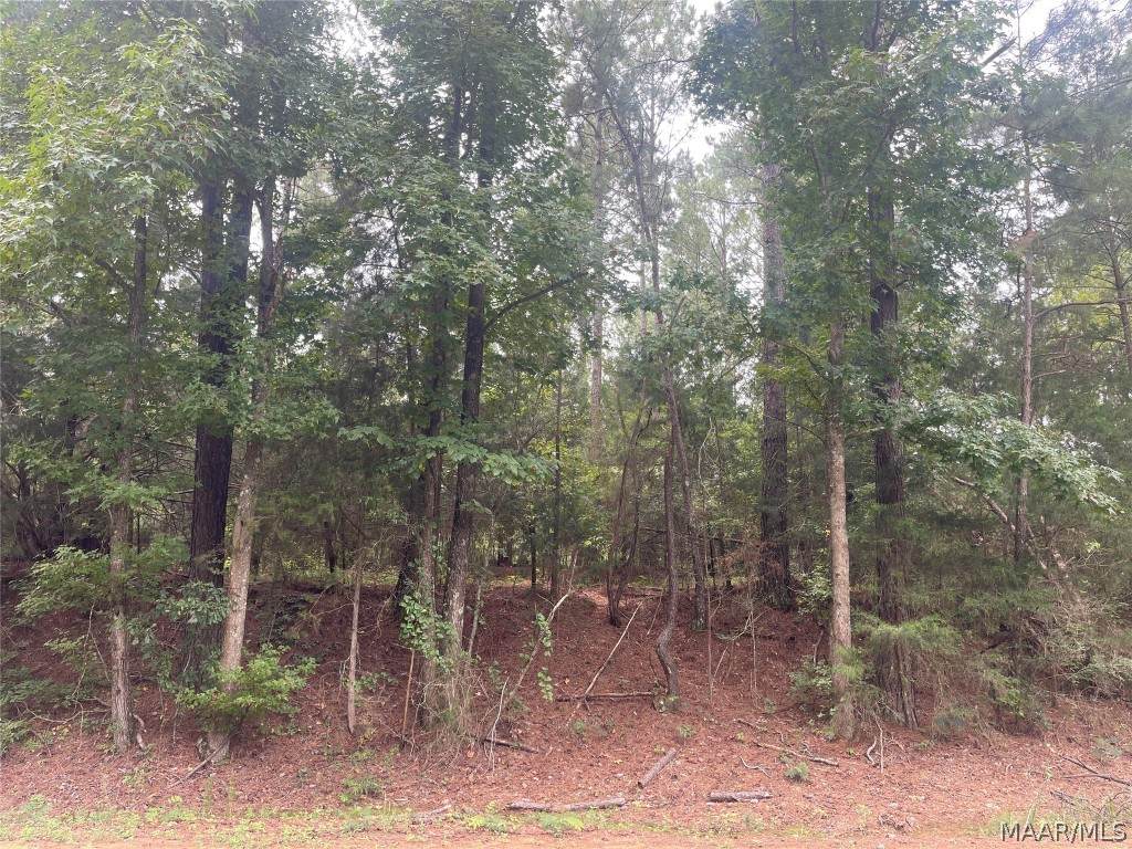 0 County Road 3310 - Photo 1