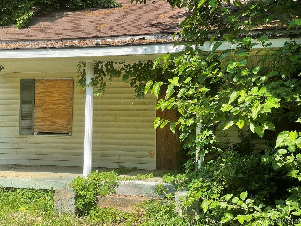 1213 St Ann Street - Photo 1