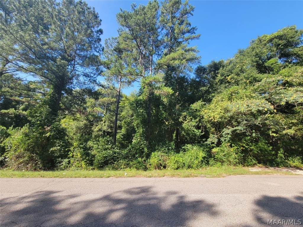 403 Durden Road - Photo 1